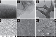 Macromol. Rapid Commun.：α、γ和亚稳态多晶型物对电纺聚酰胺6/功能化氧化石墨烯的作用