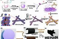 北京大学曹安源&郑州大学上媛媛ACS Appl. Mater. Interfaces：协同型CNFs/CoS2/MoS2柔性薄膜在室温下对NO气体具有良好的选择性