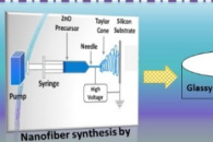 Electroanalysis：一种基于CoZnO的灵敏、快速氟虫腈检测平台