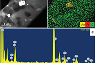 Journal of nanoscience and nanotechnology：Pt@AuNPs掺杂3D电纺聚己内酯海绵的制备及其生物医学应用