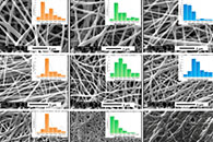 Int. J. Biol. Macromol.：壳聚糖-明胶/壳聚糖-透明质酸的双喷丝头电纺纳米纤维/凝胶结构作为伤口敷料的体外和体内研究