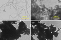 Environ. Sci. Pollut. Res.：基于镍锌铁氧体颗粒作为吸附剂修饰碳纳米管的静电