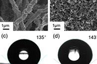 清华大学张剑波&北京化工大学刘勇Int. J. Hydrogen Energy：常温和冷启动条件下PEMFC中电纺微孔层的水管理特性