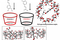 Journal of Molecular Structure：含阿魏酸与γ-环糊精包合物的聚乙烯醇电纺纳米纤维的制备及其光谱表征