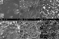 Journal of Experimental Nanoscience：PAMAM树枝状聚合物修饰丝素蛋白纳米纤维支架用于细胞培养