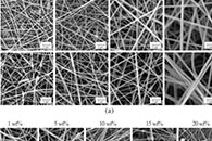 Journal of Applied Polymer Science：电纺磁性聚乙烯醇缩丁醛/ Fe2O3纳米纤维膜的制备，可有效去除地下水中的铁离子