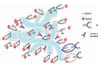 上海理工大学陶虹Microporous and Mesoporous Materials：聚氨酯/聚丙烯腈芯鞘电纺纤维的制备及其在丙酮吸附中的应用
