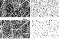 逢甲大学陈文正Materials Chemistry and Physics：加工和灭菌策略对聚乙烯醇静电纺丝膜中还原性银纳米颗粒的影响