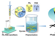 苏州大学严峰ACS Sustainable Chem. Eng.：聚离子液体基导电夹层可作为锂硫电池的多硫化物吸附剂