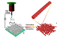 浙江海洋大学李世杰&密苏里大学陈晓波Chemical Engineering Journal：Bi2WO6/Ta3N5 Z型异质结纳米纤维的简易制备及其在降解有害药物污染物中的应用