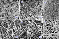 哈尔滨理工大学翁凌&张笑瑞Journal of Materials Science: Materials in Electronics：PI多孔纤维膜的制备及其在油纸绝缘结构恢复中的应用