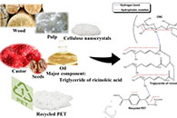 International Journal of Biological Macromolecules：由纤维素纳米晶体、蓖麻油和再生PET制备的定向和非定向纤维组成的生物基电纺膜
