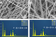 东华大学凡小山&新加坡材料研究与工程研究所李子彪ACS Appl. Polym. Mater.：PFMA-PDMS-PFMA/PCL杂化纳米纤维膜的制备及其在油/水分离中的应用
