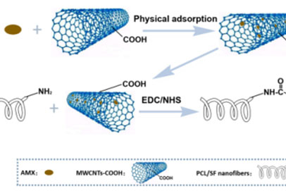同济大学汤睿International Journal of Nanomedicine：具有持续抗菌和与组织匹配的力学性能的电纺支架，可用作功能性网格