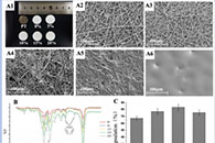 清华大学孙晓丹&苏州大学林俊Biomaterials：电纺丝PLGA@阿司匹林纳米纤维涂覆钛用于解决无菌性松动问题