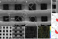 Additive Manufacturing：使用3D打印和旋转静电纺丝技术制备双尺度聚己内酯支架，用于骨组织再生