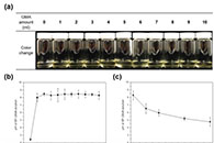 Polymer Degradation and Stability：甲基丙烯酸缩水甘油酯修饰水溶性丝素蛋白的静电纺丝和双重交联