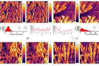 Surface & Coatings Technology：使用抗坏血酸和富马酸对PLA支架进行等离子体抗菌改性