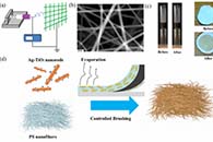 东南大学张彤&张晓阳Molecules：静电纺丝制备Ag-TiO2纳米棒负载空气过滤器及其在空气净化中的应用