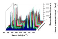 上海师范大学杨海峰Sensors：静电纺丝制备疏水膜用于痕量三唑磷的快速SERS检测