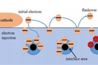 华北电力大学谢庆Polym. Compos.：铋铁氧体填料的形貌和粒径对环氧树脂复合材料表面绝缘性能的影响