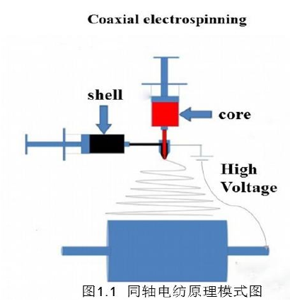 利用同轴静电纺丝溶液技术制备PTH-Fc/SF/PLCL三维纳米纤维屏障膜