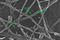 J. Mater. Cycles Waste Manag.：由卫生纸制备电纺丝纤维素纳米纤维 