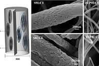 Bull. Mater. Sci.：电纺聚合物纳米纤维的液晶相行为和相变研究