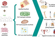 Eur. Polym. J.：静电纺丝和3D/4D打印技术制备新型PVP基生物医学产品