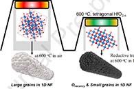 Appl. Surf. Sci.：使用聚合物共混纳米纤维前驱体低温合成氧化铪四方相