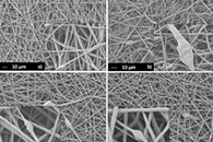 Appl. Sci.：使用良性溶剂将含镁、锶和锌的生物活性玻璃掺入电纺PCL纤维