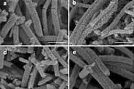 ACS Catal.：铂纳米粒子与钽掺杂氧化锡纳米纤维之间的强相互作用及其对氧还原反应的活性和稳定性