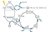 渤海大学孟庆明Mater. Sci. Semicond. Proc.：Pd掺杂α-Bi2O3电纺纳米纤维在可见光下增强燃油的光催化脱氮性能