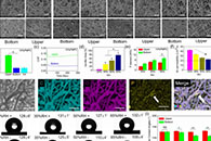 清华大学张洪玉&西安交通大学崔文国&约翰霍普金斯大学毛海泉Nano Lett.：受冰启发的超润滑静电纺丝纳米纤维膜，可防止组织粘附