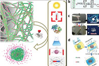 Biomater. Sci.：电纺纳米纤维应用于癌症研究：从体外3D癌症模型的工程设计到治疗