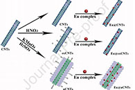 青岛大学唐建国J. Alloys Compd.：将Eu3+配合物直接锚固到多壁碳纳米管（Eu@DSCNTs）衍生表面上用于线性荧光纳米材料