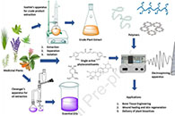 J. Drug Deliv. Sci. Technol.：制备用于输送活性植物成分的电纺纳米纤维膜的最新进展