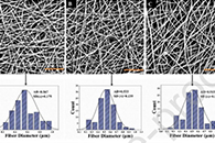 东华大学莫秀梅Colloids Surf. B Biointerfaces：PLCL/丝素蛋白基纳米抗菌敷料的制备、表征及生物学评估