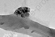 Radiat. Phys. Chem.：新型定制MWCNTs/SnO2修饰纤维素纳米纤维吸附剂用于去除废水中的Cu（II）