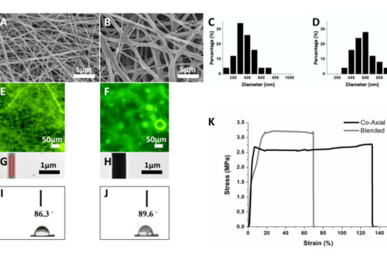 长庚大学刘士荣ACS Infect. Dis.：通过可生物降解纳米纤维持续共传输抗菌剂和血小板衍生生长因子，以修复糖尿病感染性伤口