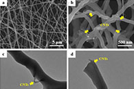 深圳大学邹继兆&曾燮榕J. Alloys Compd.：碳纳米管负载碳纳米纤维支架作为锂金属电池负极