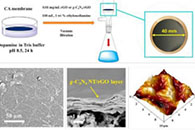 山东大学高宝玉&王志宁J. Mater. Chem. A：石墨相氮化碳（g-C3N4）基膜用于高级分离