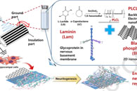 J. Ind. Eng. Chem.：黑磷修饰PLCL/层粘连蛋白三元纳米纤维基质可增加神经突生成