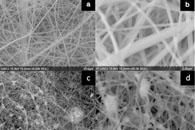 Water Air Soil Pollut.：电纺羟基磷灰石-玻璃纤维的制备及其对水体中镉（Cd+2）和铅（Pb+2）的去除