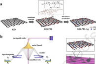 中原工学院何建新J. Colloid Interface Sci.：氧化石墨-银纳米复合材料嵌入纳米纤维包芯纱用于抗菌纺织品