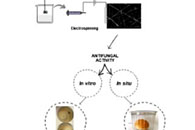Carbohydr. Polym.：淀粉/香芹酚纳米纤维作为生物防腐剂可有效防止面包变质