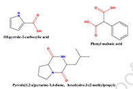 Colloids Surf. A Physicochem. Eng. Aspects：生物杂化电纺纳米纤维的制备及其在消除伤口感染和耐药病原体中的应用