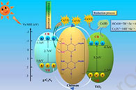 青岛大学崔育倩&龙云泽Carbohydr. Polym.：电纺壳聚糖/g-C3N4/TiO2纳米纤维协同吸附/光催化可提高对Cr（VI）的去除率