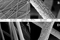 J. Electrochem. Soc.：钴-沸石咪唑骨架微纤维用于检测维生素B2