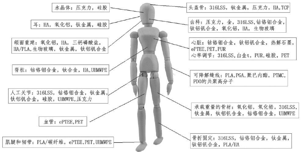 载药 PA/CNTs 复合纳米纤维的制备